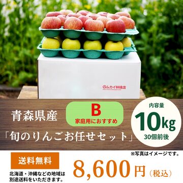 予約販売・送料込み】【家庭用】宮古島産 完熟マンゴー 約4kg (9〜10玉