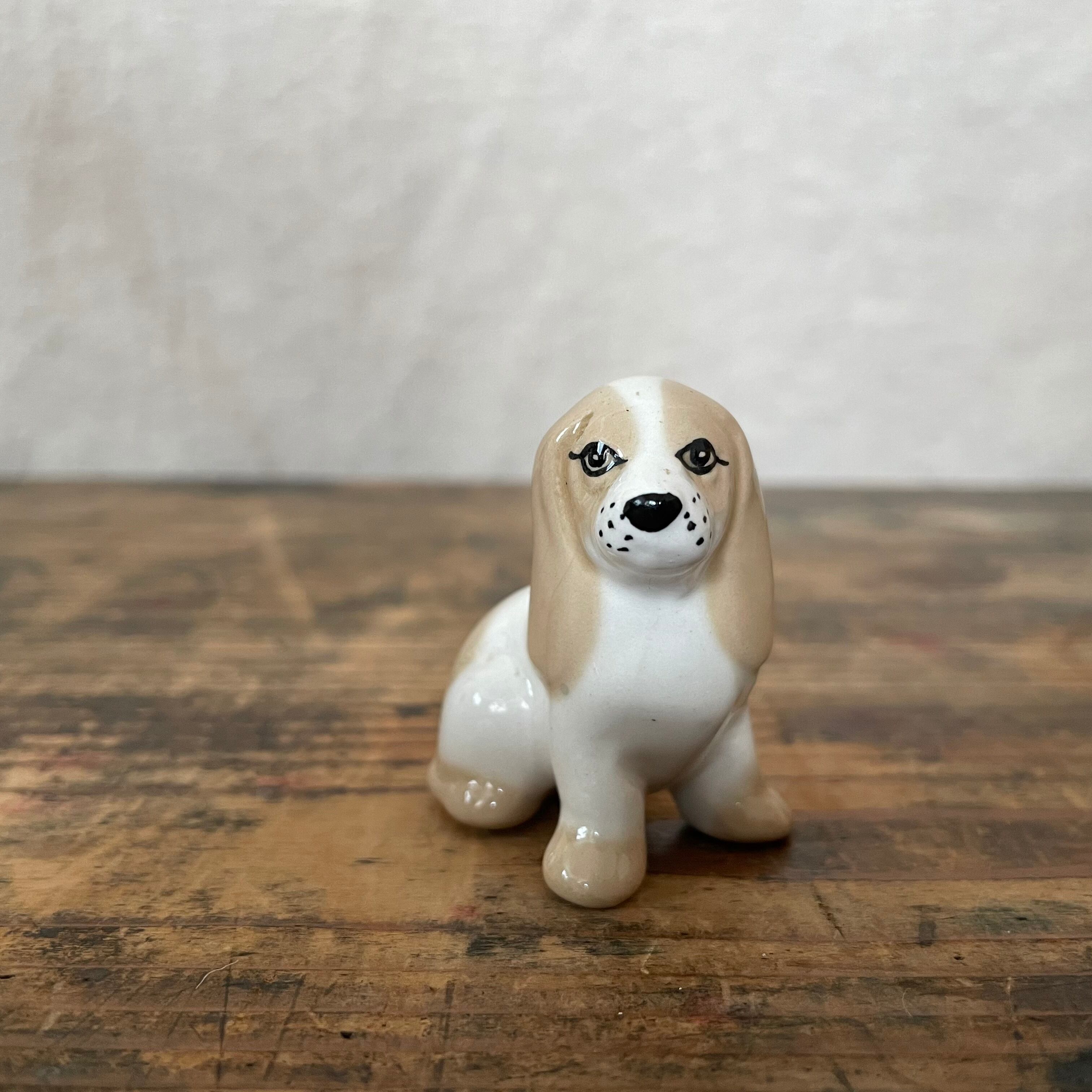 目ヂカラのある犬