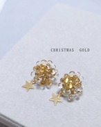 シロツメクサ　Christmas Limited