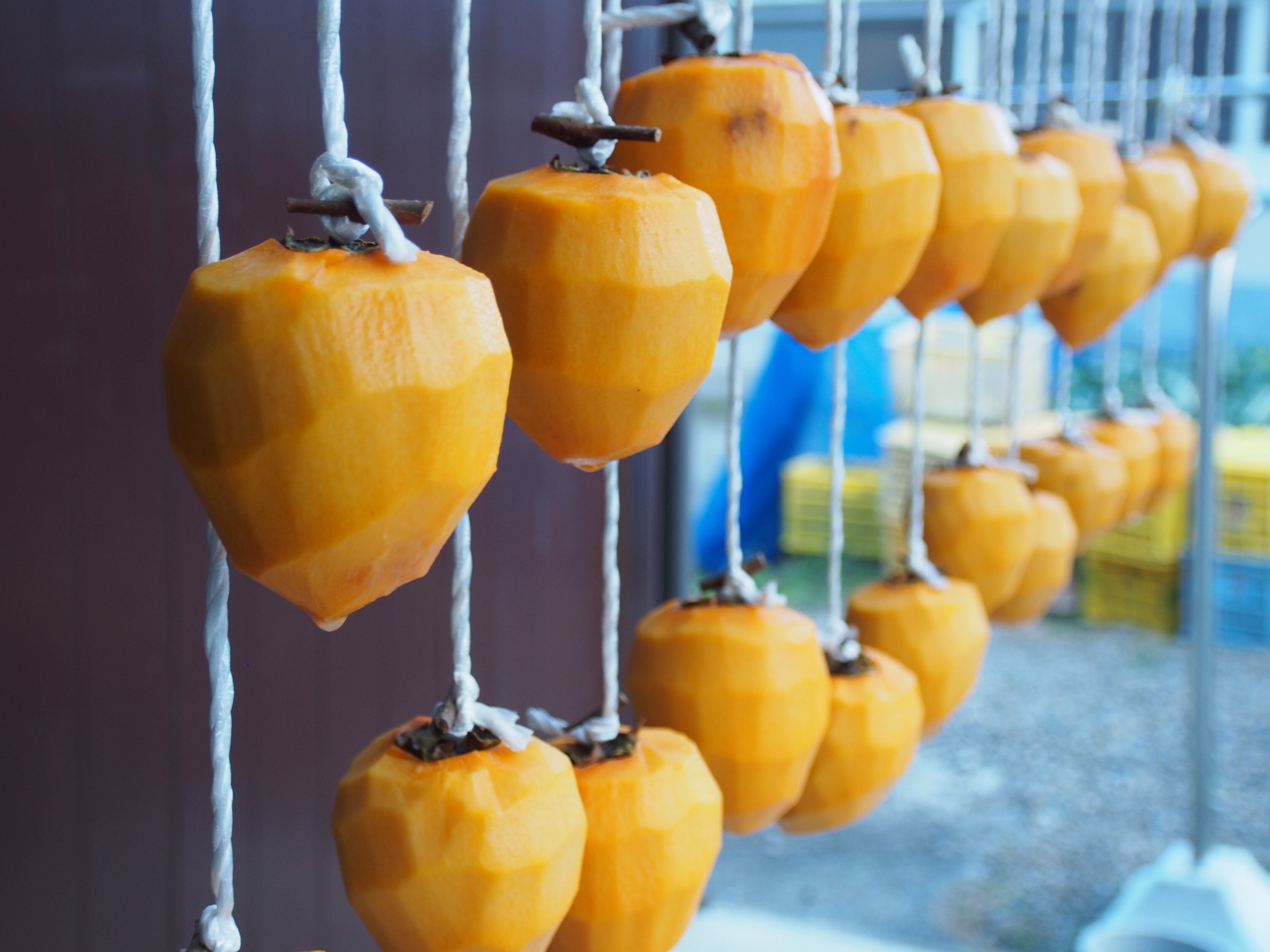 5d4d5ec1daaf2bc282e0ed75ae8519