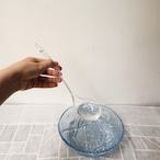 とうめいなおたま