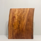 木の結婚証明書｜ヤマモモ｜No.739