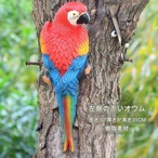 ガーデン オーナメント オウム 動物 ２点セット オブジェ 庭 ガーデン 雑貨 インテリア リアル デスプレィ