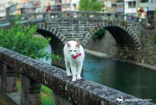 post card 087