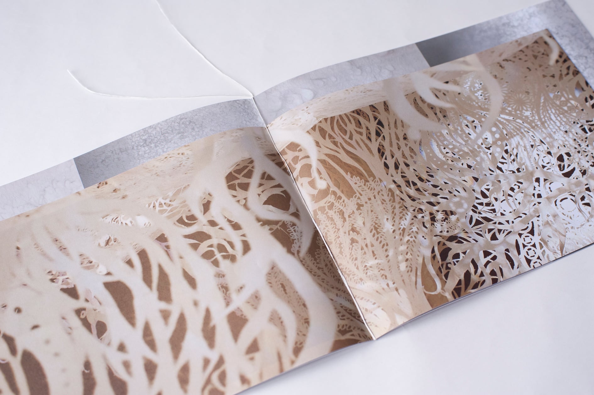 5d5148315827f0777c60bc96437937