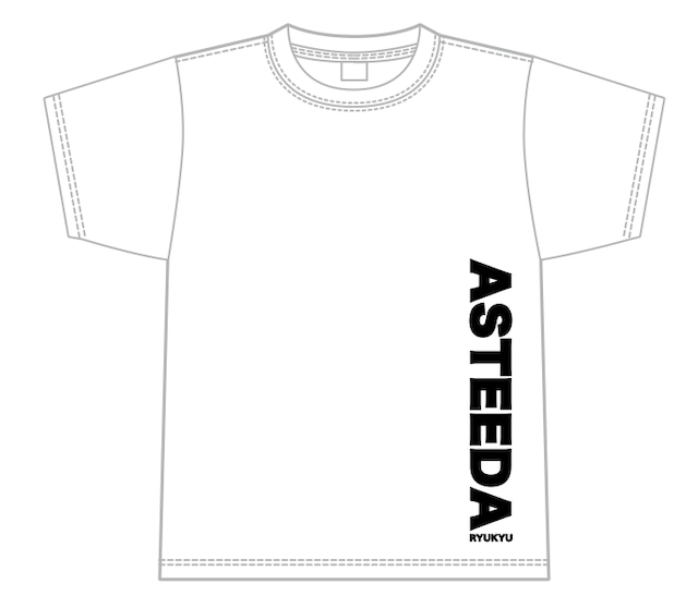 普段使いに!! 男女兼用「アスティーダ ヘビーウェイトコットン Tシャツ」(S-ASTEEDA0013)