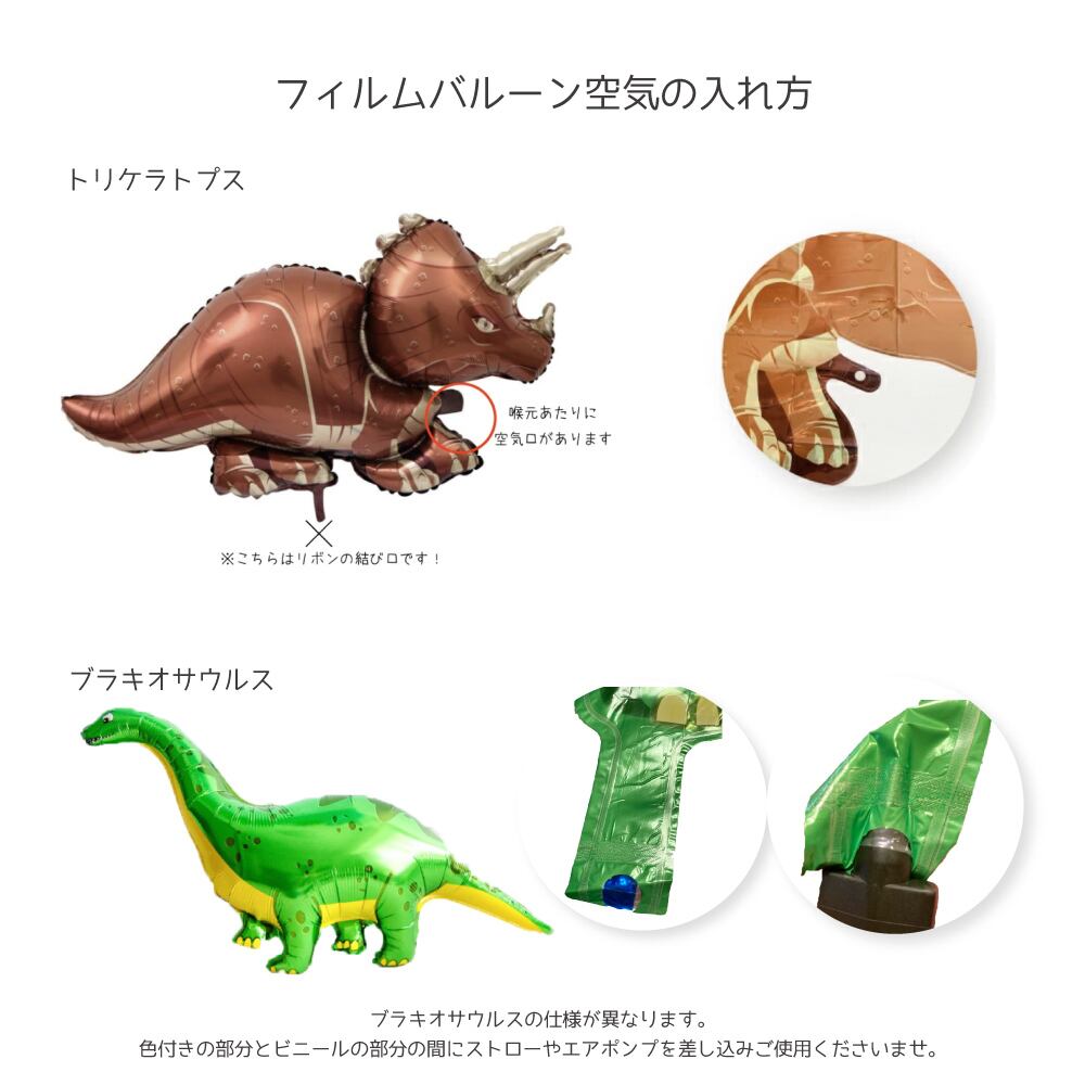 再々々々入荷 大人気 バースデーデコレーション 恐竜 セット ダイナソー ティラノサウルス レックス 誕生日 飾り | Hanamei