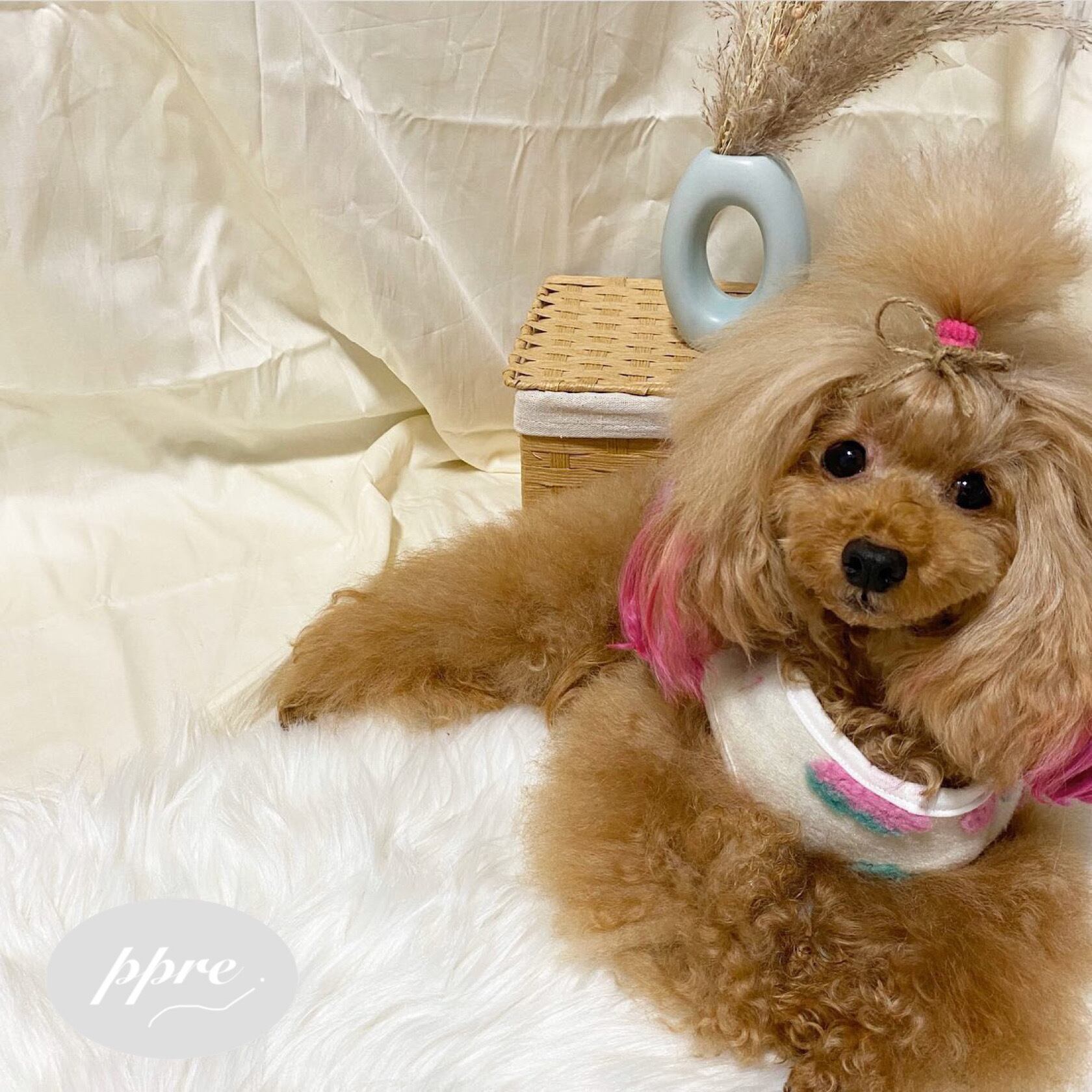 いちご ボア ベスト フリース ドッグウェア 犬服 | ppre®︎（ププレ