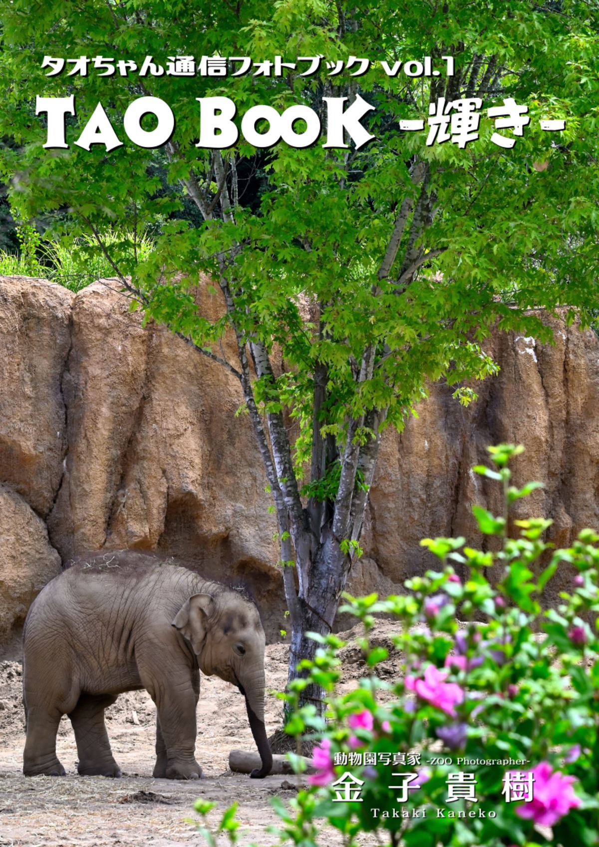 5d5a40193e6f176b9e83acb67ed6bb