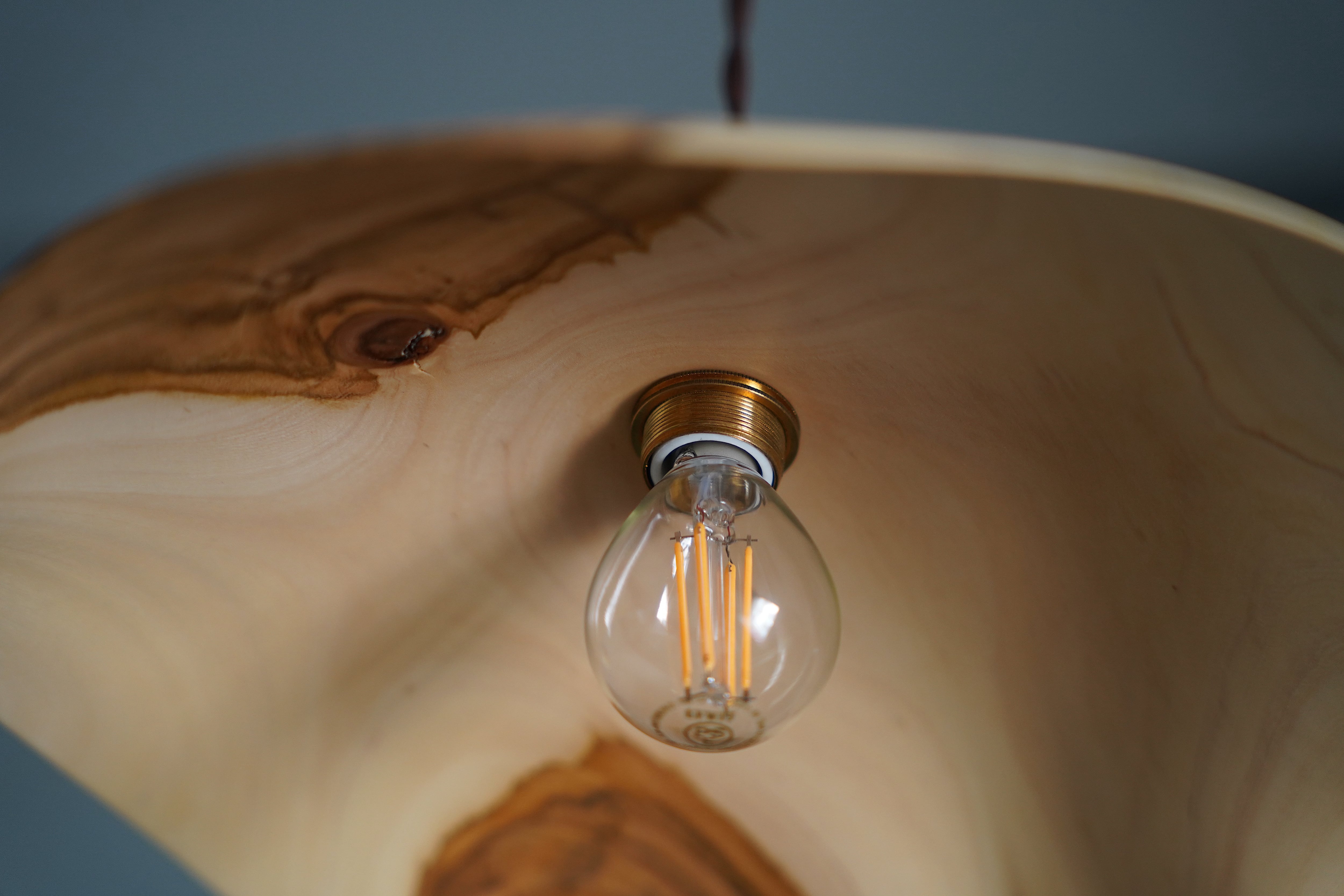 安藤萌 サクラの木 ランプシェード | DE OJAL omomuki