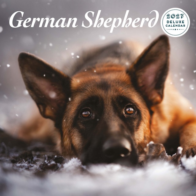 【2027年版】英国製犬種カレンダー【ジャーマン・シェパー】 DELUXE 2027年版