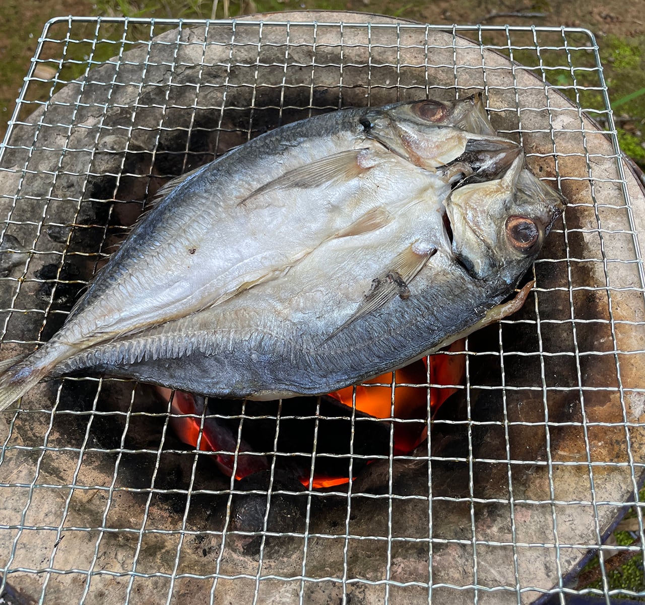長崎県壱岐島 馬渡水産 【訳あり】大量干し物セット（15～18枚