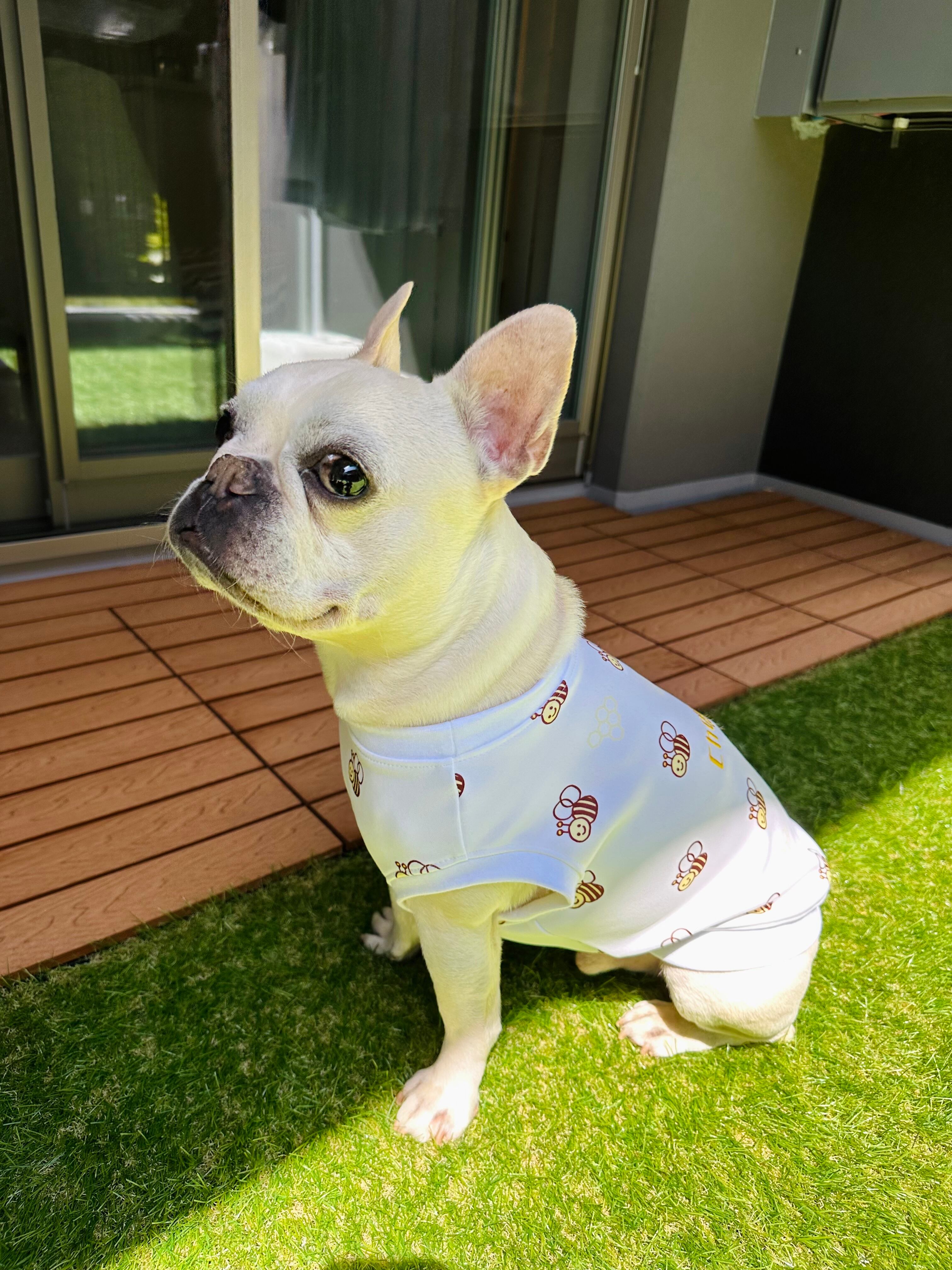 うちの子ネーム刺繍入りタンクトップ＊ミツバチ柄＊ | 犬服BUTTER
