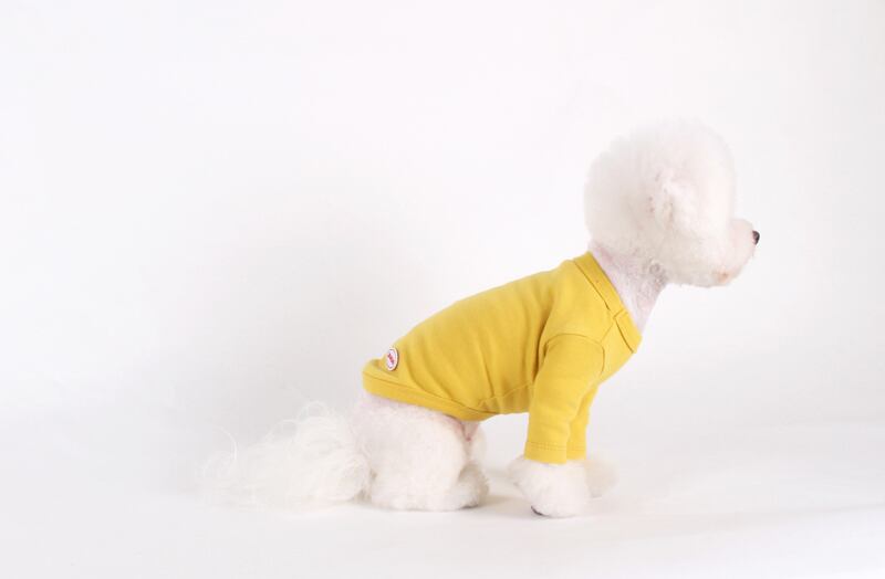 【SALE】 フライス無地Tシャツ S ~ XL 3color / 犬服 新作 長袖 ドッグウェア 小型犬 中型犬 犬 服 暖かい 猫 ペット用品 ペット洋服 b35