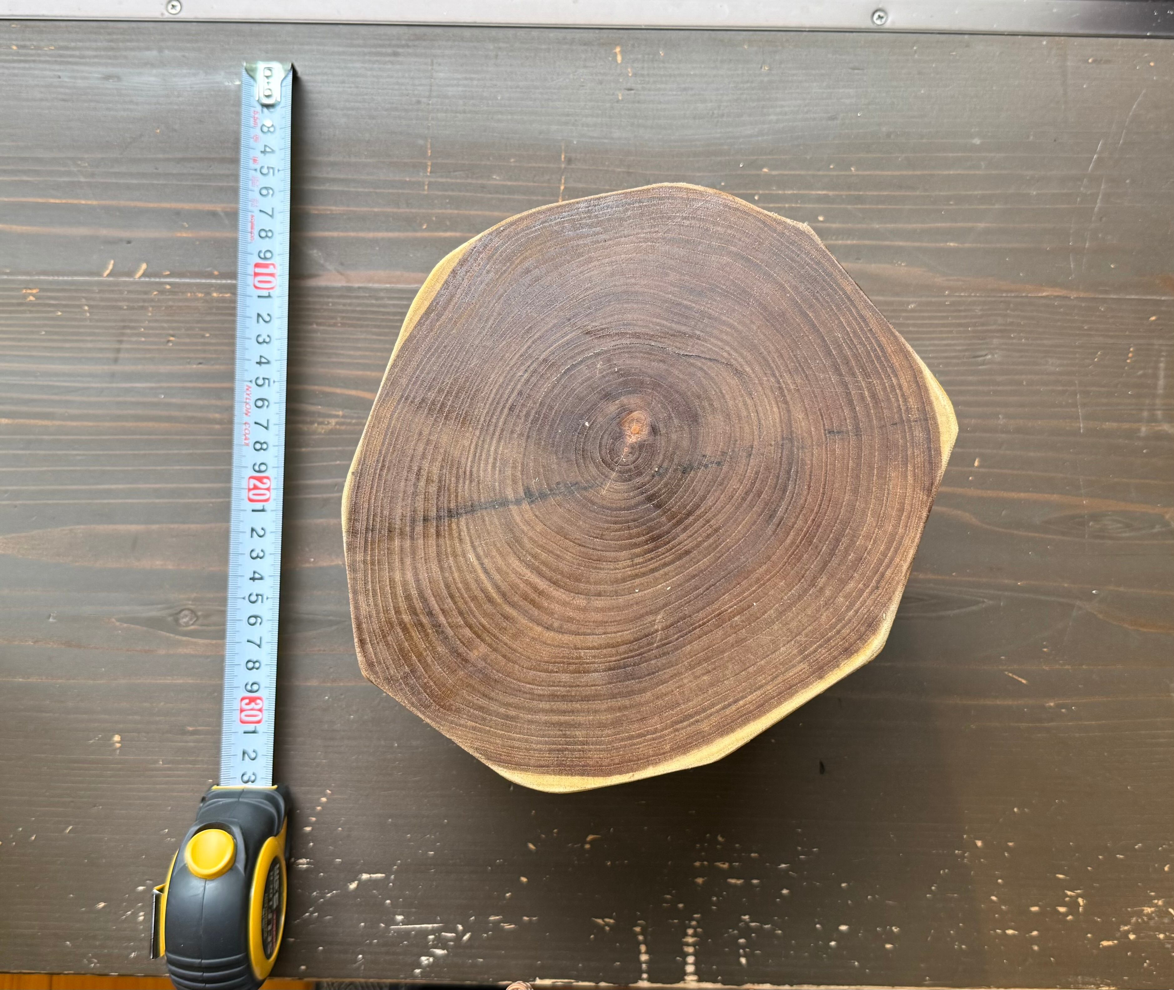 槐（えんじゅ）の木 台座 【縁起の良い木】 | 水窪の星の駅碧-AOI-