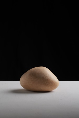 木の石  “wood stone” M ④