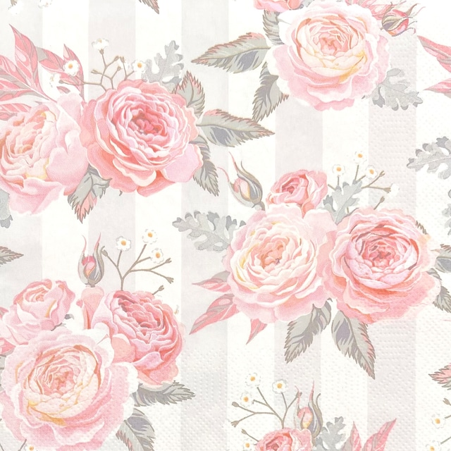 2023春夏【Daisy】バラ売り2枚 ランチサイズ ペーパーナプキン Pink Roses on Grey Stripes グレーxクリーム