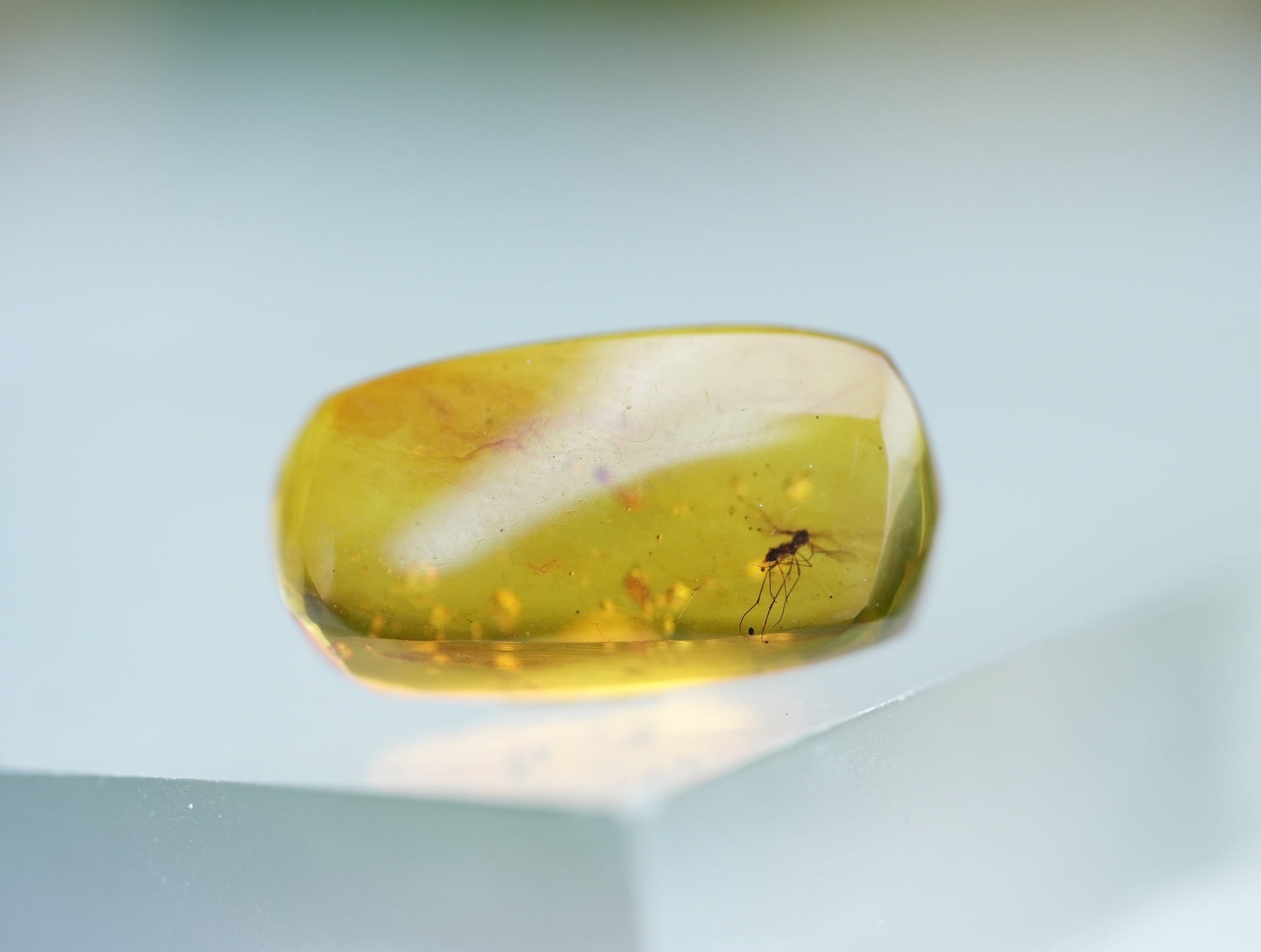 【琥珀ページ】 パーマイト☆天然琥珀アンバー s1306 | Funky garuda Stone