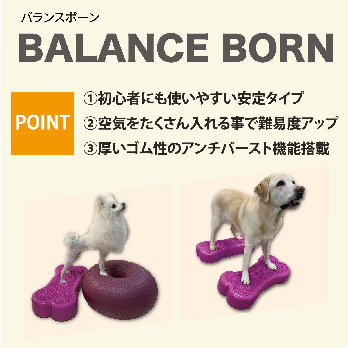 アプリア　バランスボーン【獣医師推奨】 アプリア バランスボーン【獣医師推奨】 | ケーピーエスオンラインショップ