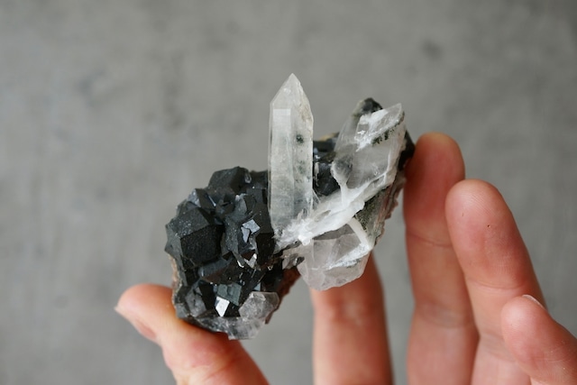 内モンゴル産アンドラダイトガーネット/クォーツ Andradite Garnet / Quartz 1906