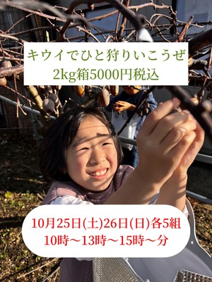 キウイでひと狩りいこうぜ‼︎(キウイ収穫体験)2kg箱(約1〜3名様分)10月25日26日分