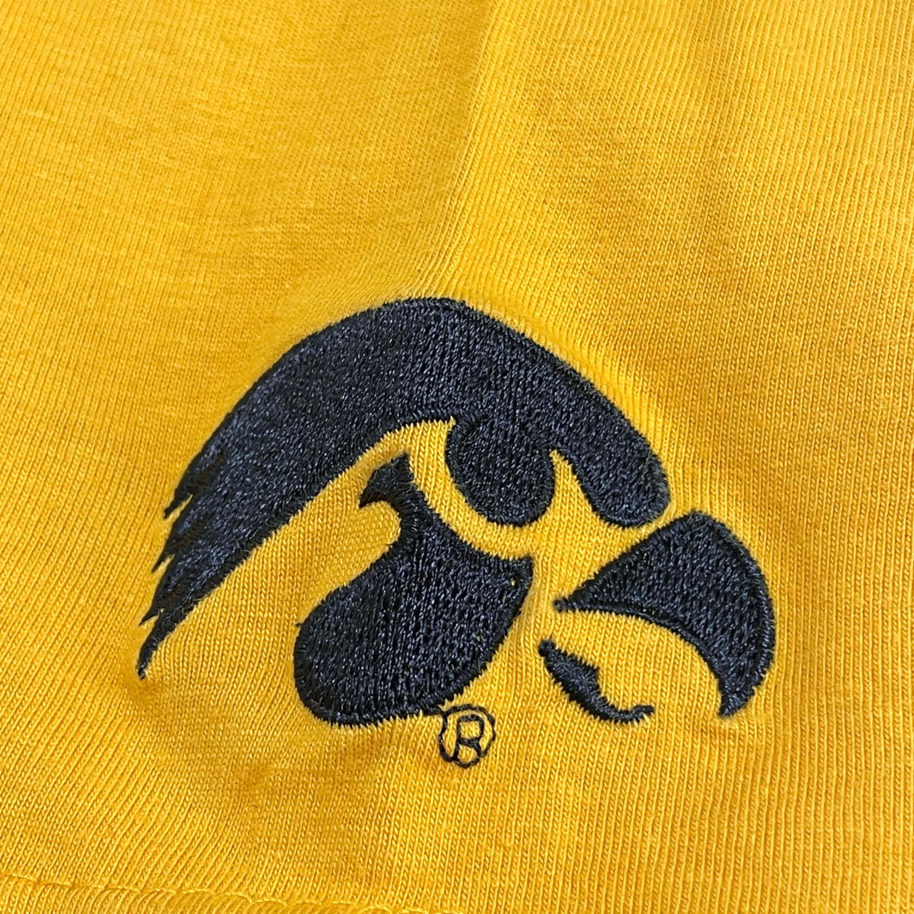 P2】カレッジロゴ Tシャツ アイオワ大学 IOWA 刺繍ロゴ 2XL ビッグ ...