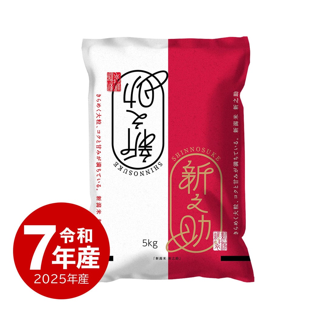大粒な新米・令和7年産 新潟 新之助 白米5キロ4個（5kg×