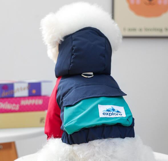 〖予約〗1103203 カラフルアシメジャンパー