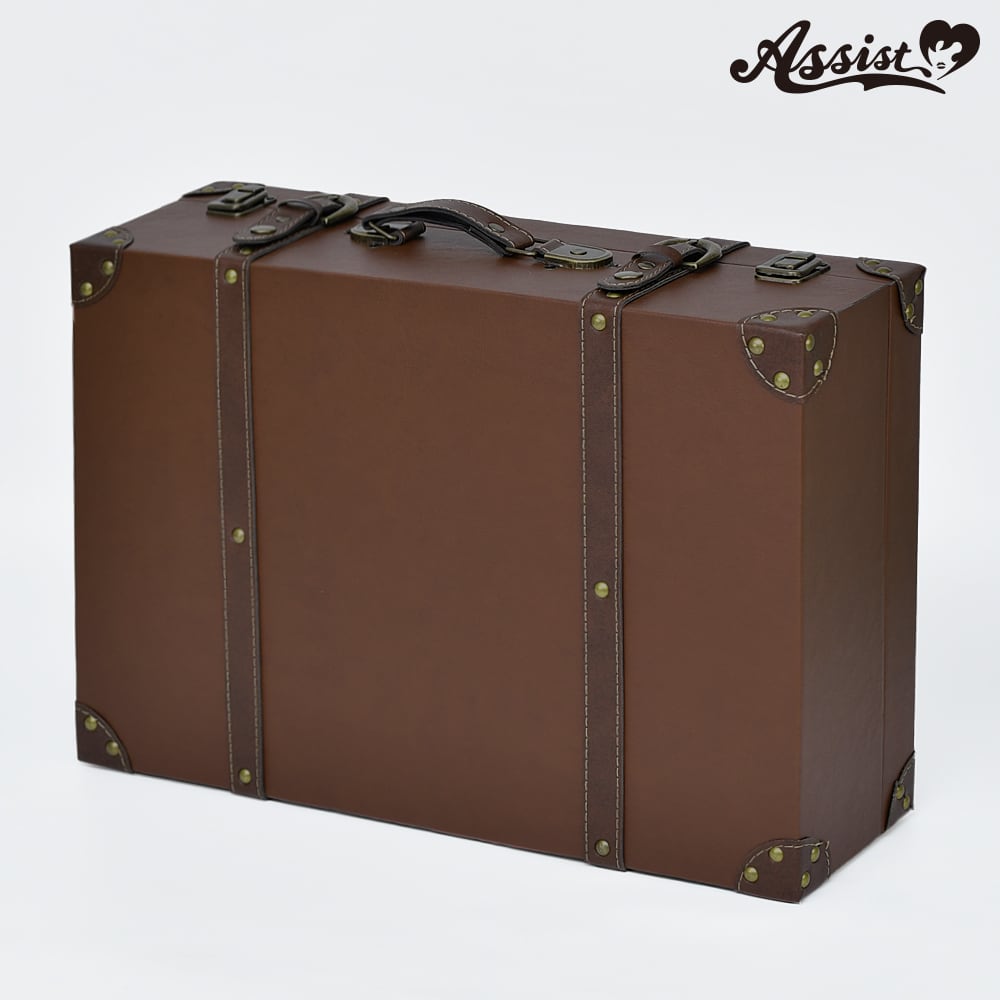 アシストウィッグ【コスプレ用トランクケース】アシストオリジナル