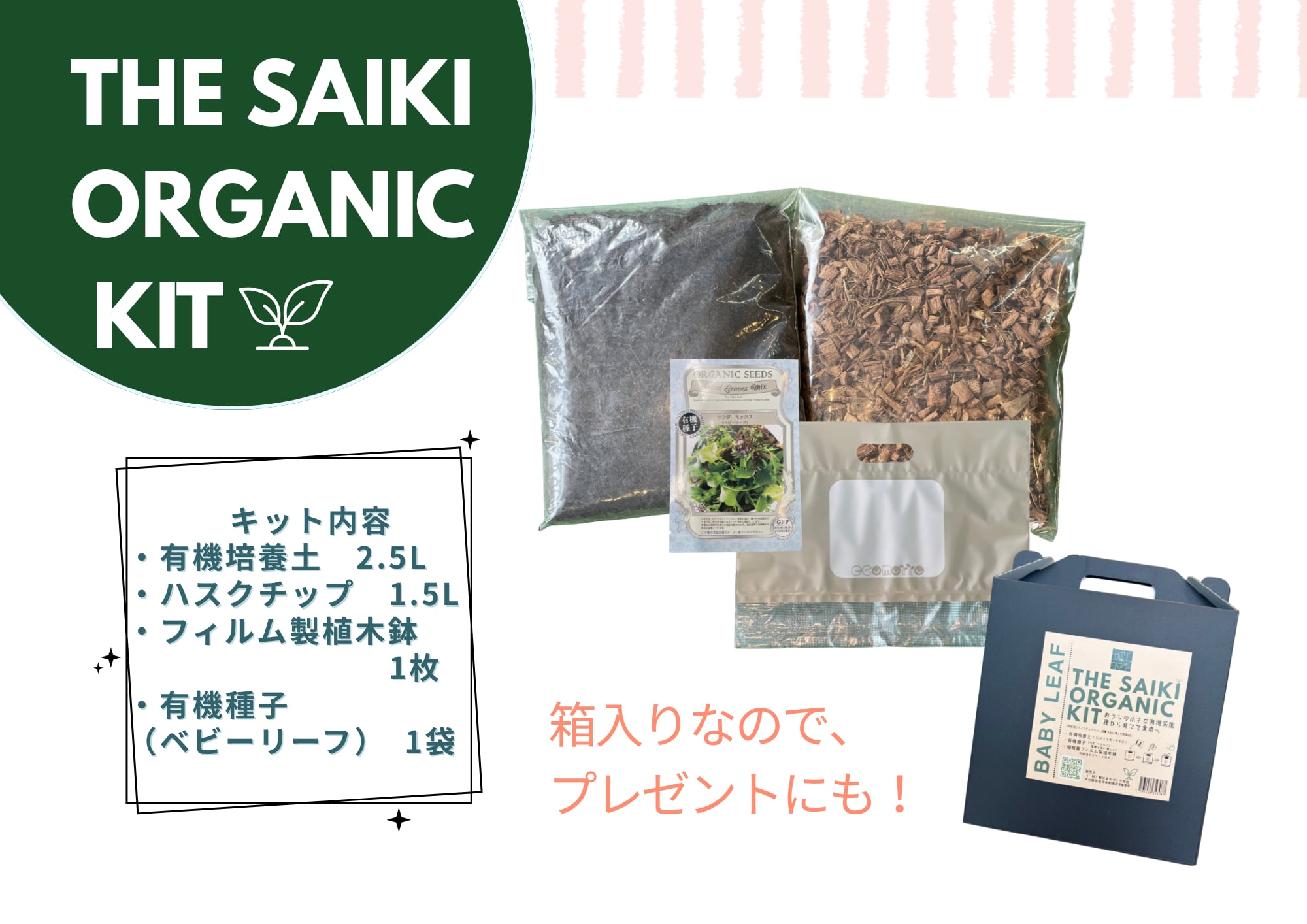 自由研究にも！】おうちでできる♪有機栽培で育てるベビーリーフ！ THE