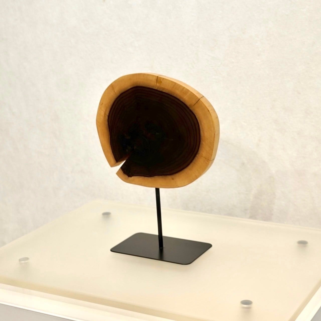 BoConcept Bello