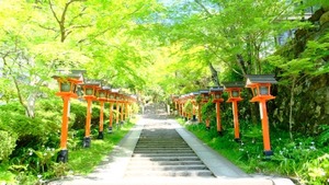 ニュー臼井レイキ・エンパワメント