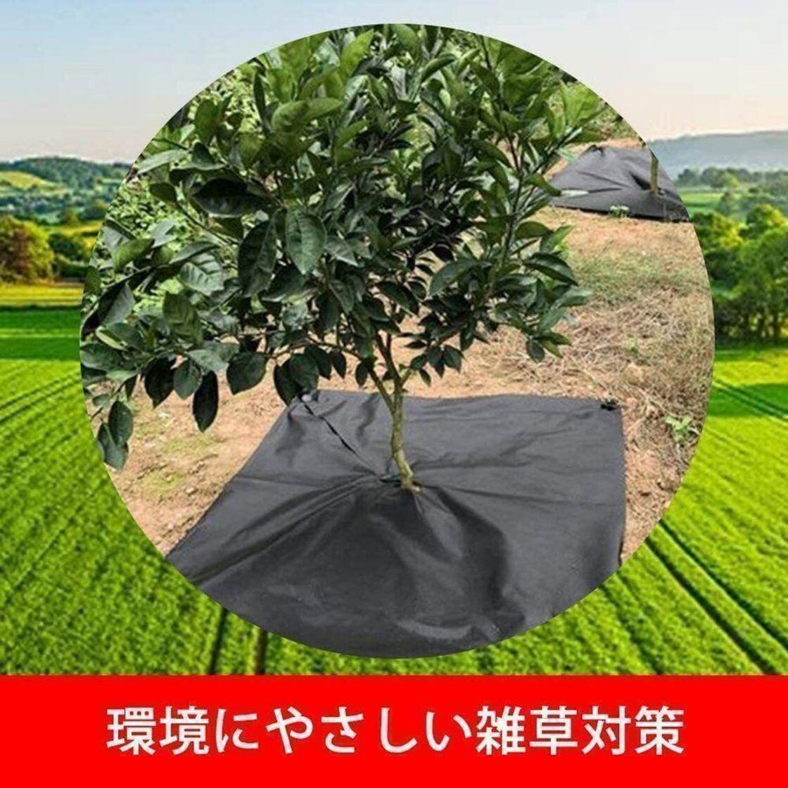 除草シート 防草シート 雑草シート 1m×100m 固定 紫外線劣化防止 905 