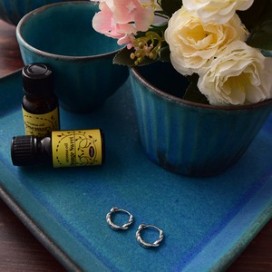 ステンレスマットツイストフープピアス