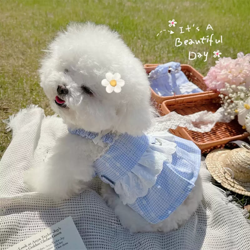 サマーガーデンのキャミソールワンピース 犬服 00754