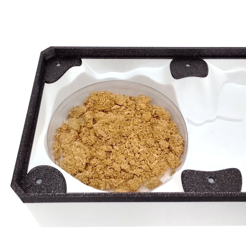 土飼育用ラウンドケース｜大型石膏巣フレーム用 | あり巣 in