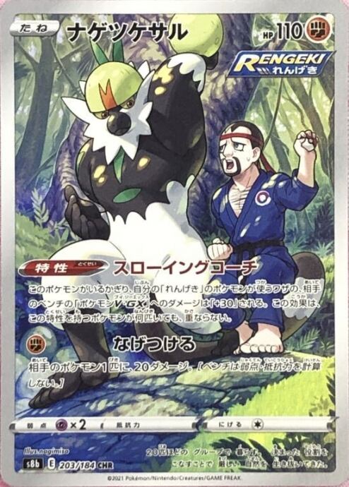 【Bランク】ナゲツケサル(CHR)