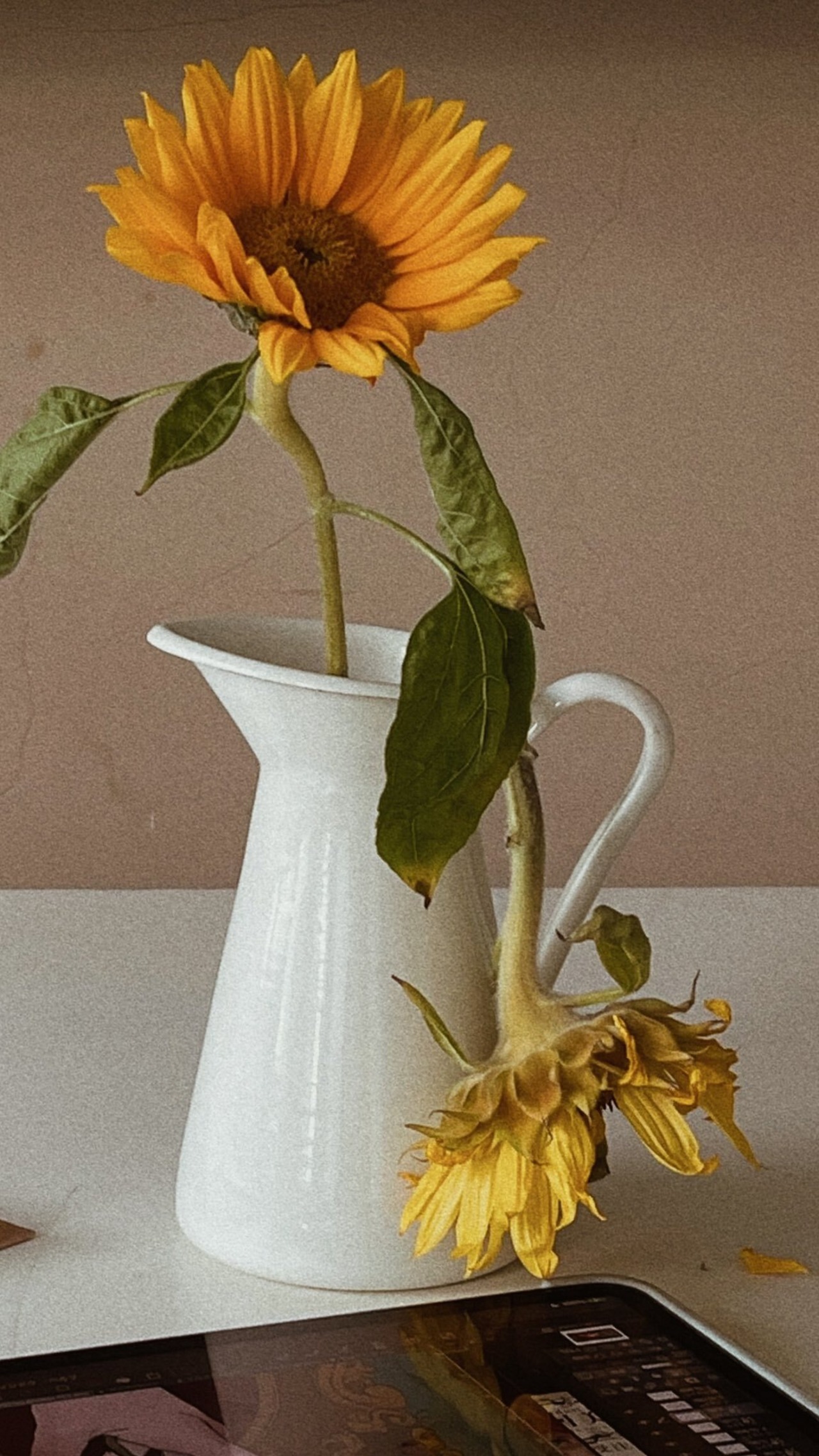 月に焦がれた向日葵の首飾り　シルバー