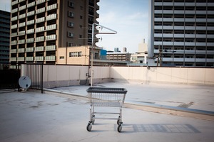 LAUNDRY CART SINGLE POLE／P.F.S.