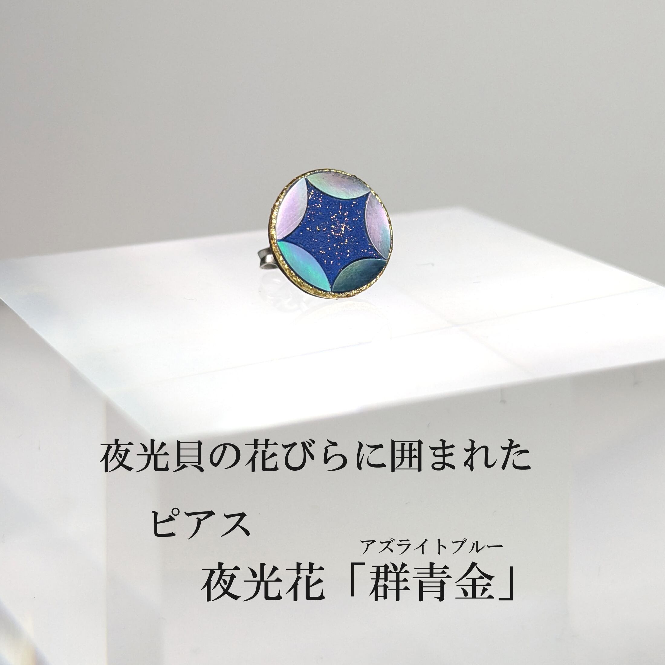 夜光貝」螺鈿細工用の薄貝（長さ約15㎝）小1枚 | 華うるし