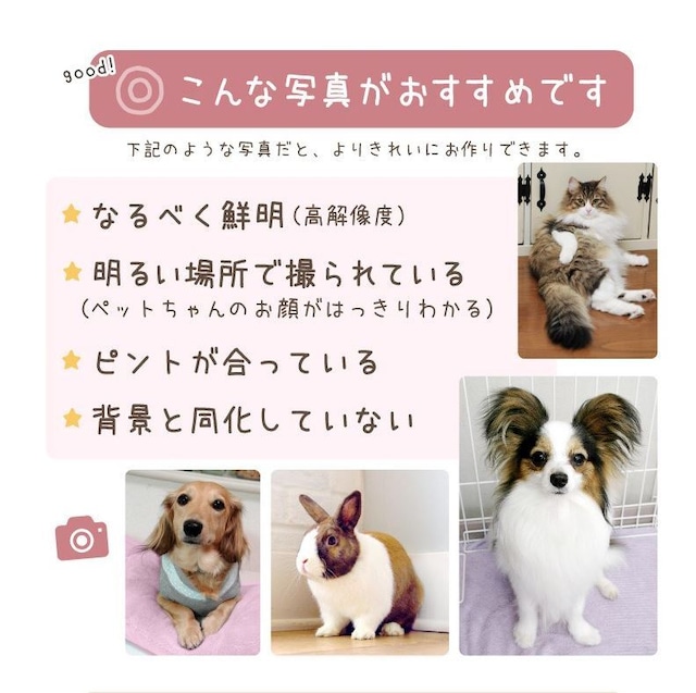 4寸骨壺カバー フルプリント