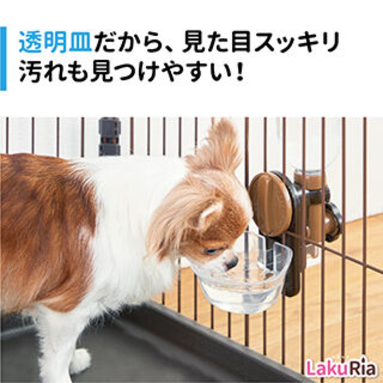 【ラクリア】お皿型給水器（専用ボトル付）,イタズラ防止！子猫時期はコレ！