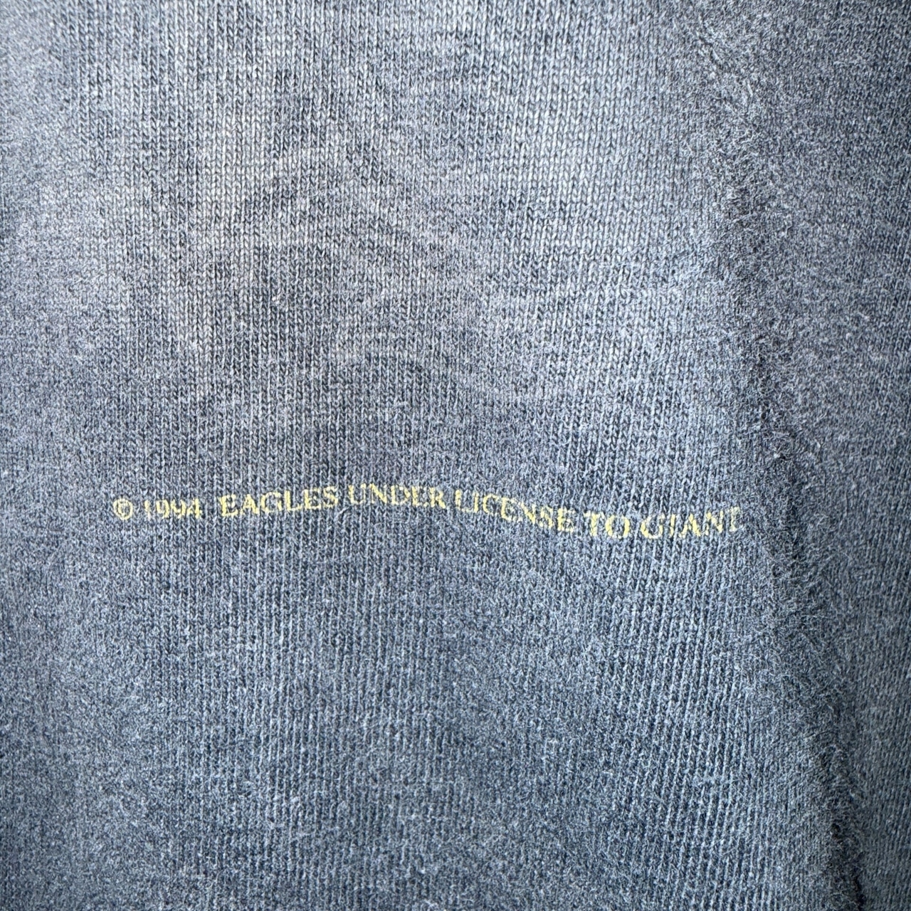 【EAGLES】イーグルス "HELL FREEZES OVER WORLD TOUR 96" giantタグ 90's Vintage Tシャツ