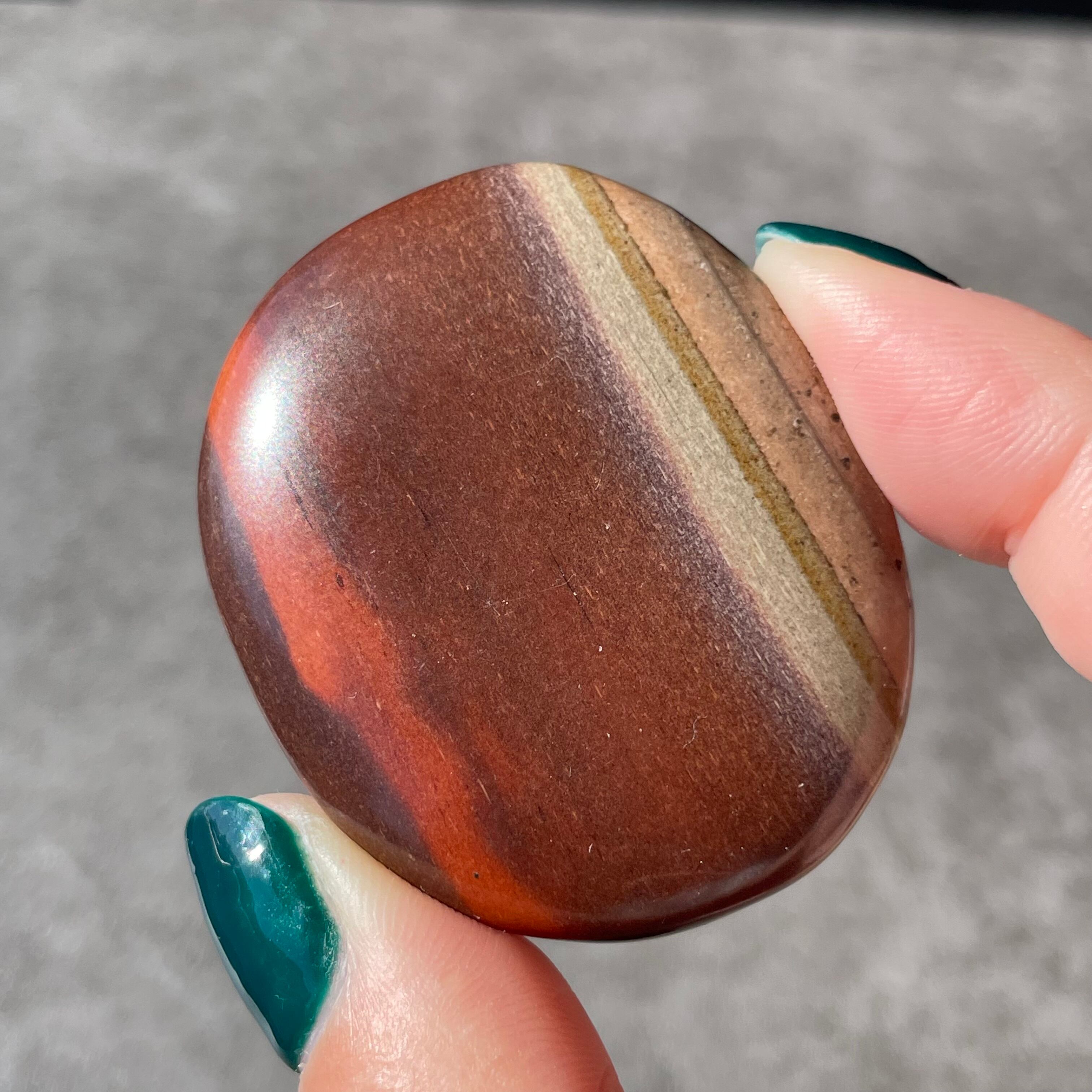 Zebra Stone ゼブラストーン|Palm パーム|天然石 パワーストーン 鉱物 gem stone