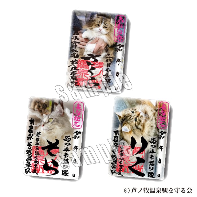 2026年2月22日 ねこの日 記念御朱印 | Station Master Cat