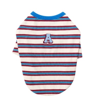 予約【andblank】A Stitch Stripe Short Sleeve (Ivory)