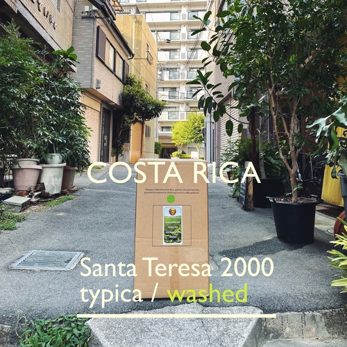 COSTA RICA  [typica] -中浅煎- 200g