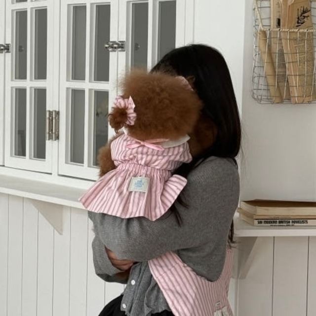 【予約】Vintage Stripe Dress〈3color〉 / tak tak tak tak   韓国犬服