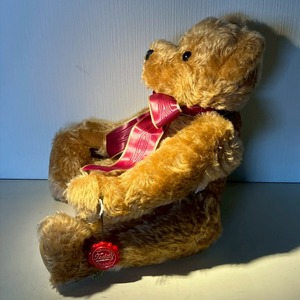 折れ耳の箱入り坊や