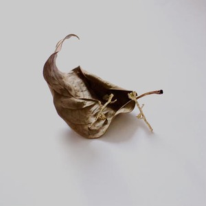 The morning dew pierce